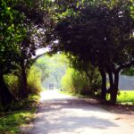 The Evolution of Connected Car Technology: Past, Present, and Future: Lotusbook 365, Play99exch, All panel mahadev