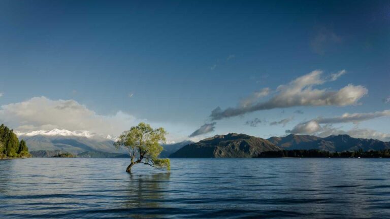 What Determines User Profit On 99Exch Events?