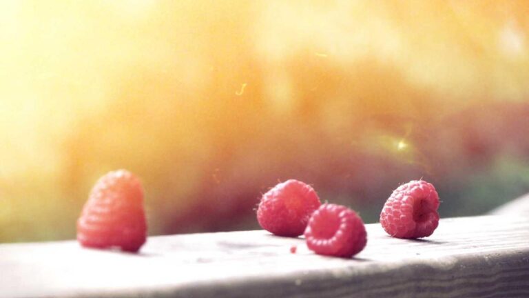 How Does Reddybook Cricbet99 Help Users Get Ids?